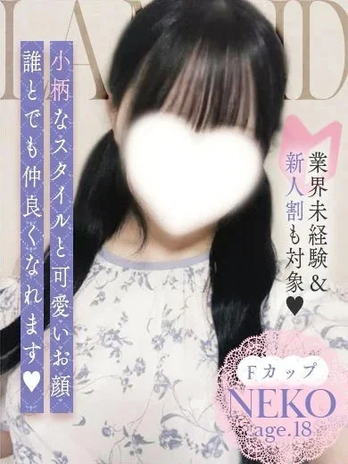 ねこさんの写真