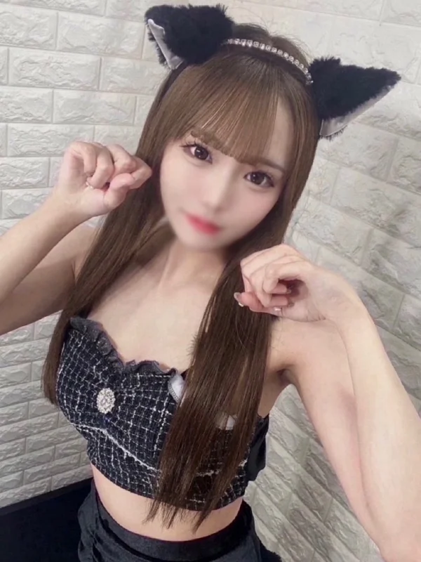 ねこさんの写真