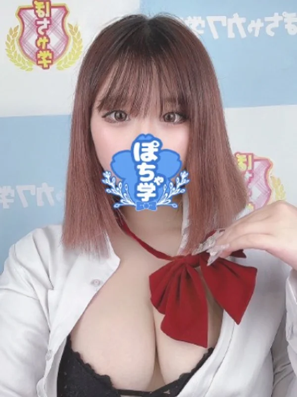 ねこさんの写真