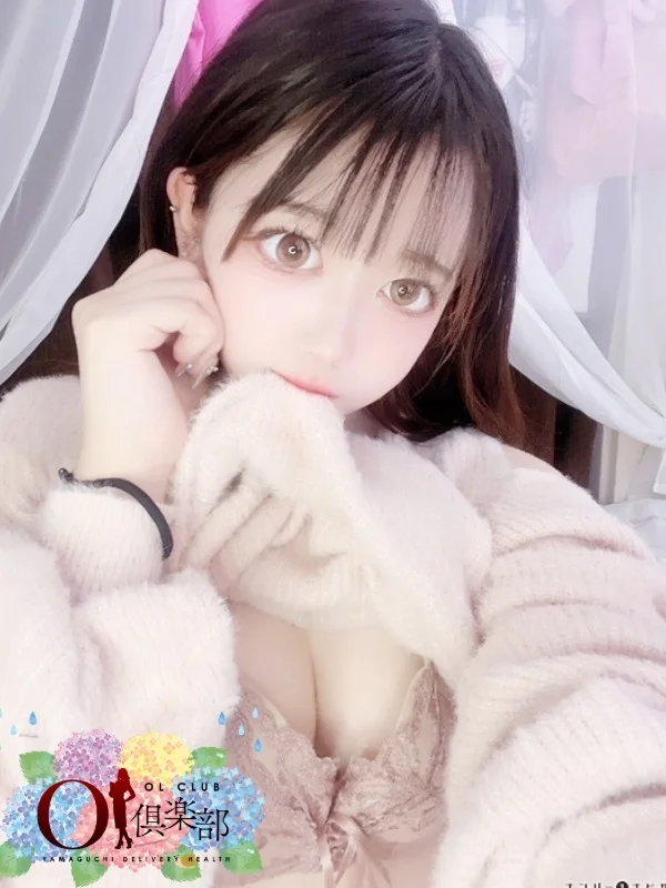 ねこさんの写真