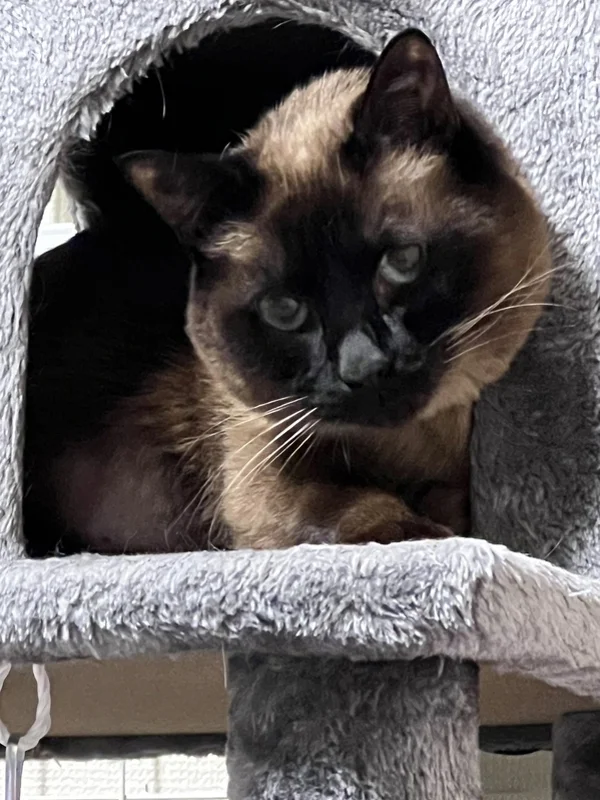 STAFFキラさんの写真