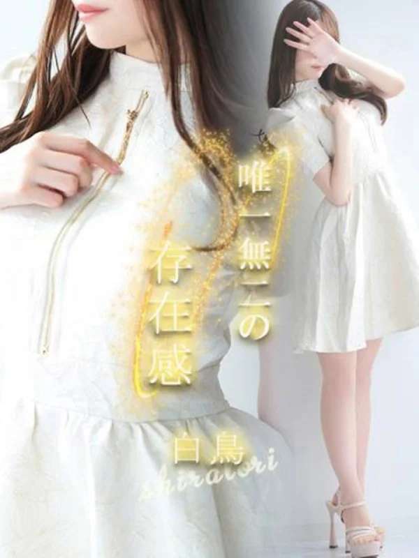 白鳥【シラトリ】さんの写真