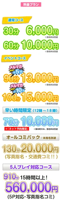 白いぽっちゃりさん錦糸町店の料金表